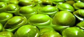 La Serrana proyecta ampliar sus instalaciones