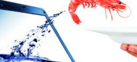 Cocina en un Fish-Fast nueva edición del recetario de Pereira