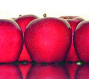 Frutas E. Sánchez apuesta por la manzana y maneja previsiones optimistas