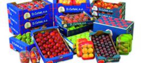 El grupo Domingo Català incorpora un nuevo centro de trabajo en Alicante