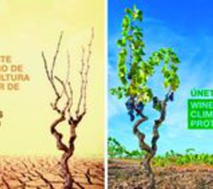Las bodegas españolas quieren liderar la lucha contra el cambio climático
