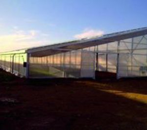 Grupo AgrupaEjido se alía con las renovables