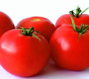 El negocio exterior impulsa a Tomalia