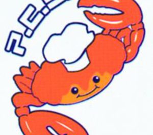 Una Top 10 de soluciones congeladas en concurso