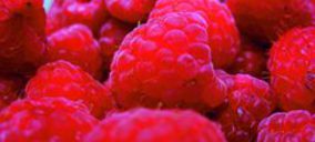 Cooperativa Hortofrutícola Cartaya potenciará las frutas más rentables