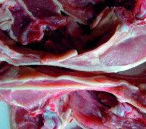 Ovinos Manchegos crece un 24%, gracias al vacuno