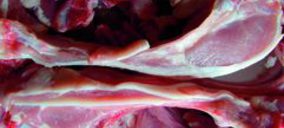 Ovinos Manchegos crece un 24%, gracias al vacuno