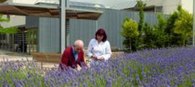 La división de servicios sociales de Clece alcanza los 300 M