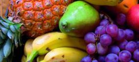 Terra Group entra en concurso de acreedores