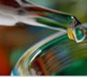 IFF España mantiene su ritmo creciente