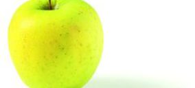 España reducirá un 24% su producción de manzana este año