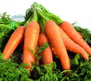 Primco en España compra la productora de zanahoria Ferpasat