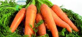 Primco en España compra la productora de zanahoria Ferpasat