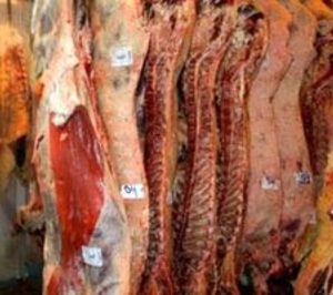 Mafrilemos levanta su concurso