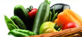 Cambios en la directiva y organización comercial de AgrupaEjido