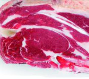 Nace Almoga, nueva cooperativa de carne de vacuno