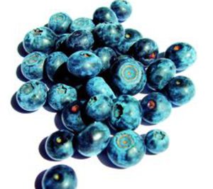 Euroberry Marketing amplía su almacén y la superficie de cultivo