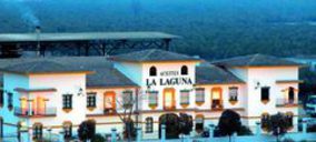 Aceites La Laguna proyecta una planta de tratamiento de alperujo