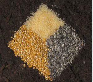 Novamont suministrará envases a una aerolínea