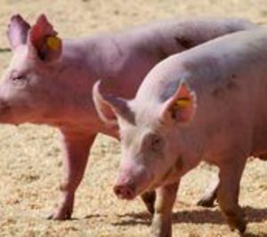 Turolense Ganadera absorbe a Agroalimentaria de Teruel