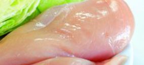 Congelados Roper busca la viabilidad