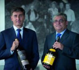 Grupo Torres, relevo en las Islas