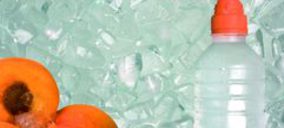 Dallant sigue creciendo en mercados emergentes