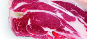 Cárnicas Azuer estrenará instalaciones en 2013