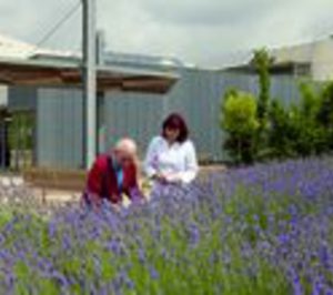 Sale a licitación el SAD de Alcázar de San Juan, Alameda de Cervera y Cinco Casas