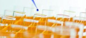 La Rioja aprueba el gasto para el material de diagnóstico del San Pedro