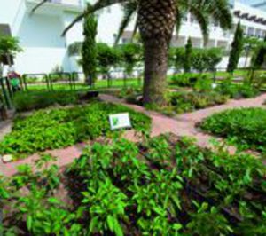 La sostenibilidad y la eficiencia energética apuntalan la rentabilidad de los hoteles