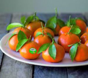 Sanlucar Fruit adquiere los derechos de venta exclusiva de ClemenGold