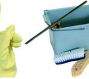 Netibiza registra un ligero crecimiento en 2011