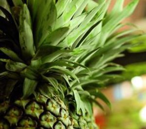 Torres Hnos. y Sucesores incorpora piña a su catálogo