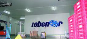 Lobenor se hace grande en el norte