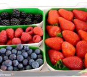 Plus Berries da a conocer sus últimas novedades