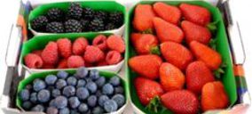 Plus Berries da a conocer sus últimas novedades