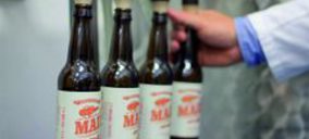 Maier, la cerveza de Cádiz, sale al mercado