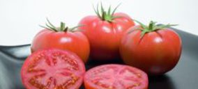 La denominación de origen, marca de calidad