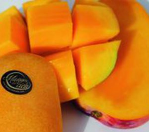 Promociones Mar del Sur duplicará su producción de mango