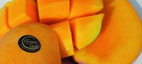 Promociones Mar del Sur duplicará su producción de mango