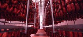 Embutidos F. Martínez aumenta sus ingresos un 18% y pasa de los 100 M€