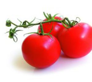 El grupo Bonnysa proyecta nuevas plantas de cogeneración 