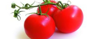 El grupo Bonnysa proyecta nuevas plantas de cogeneración 