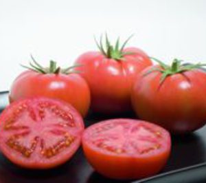 Bio Sabor se incorpora en la IGP Tomate Cañada de Níjar