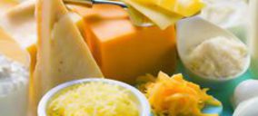 Quesos: Encuentran refugio en el canal libreservicio