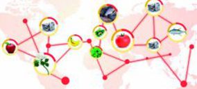 Cacesa potencia su red internacional de transporte de perecederos