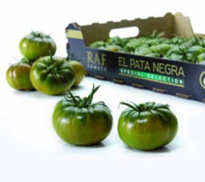 Casi inicia la campaña de venta online del tomate raf