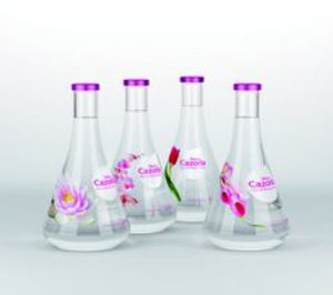 Sierra de Cazorla, declarada en concurso necesario