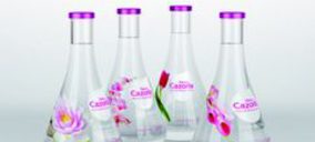 Sierra de Cazorla, declarada en concurso necesario